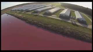 Spy Drones Expose Smithfield Foods Factory Farms [upl. by Zenger]