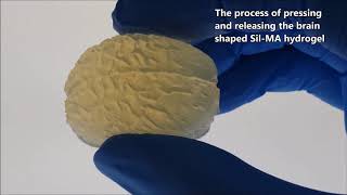 Precisely printable and biocompatible silk fibroin bioink for digital light processing 3D printing [upl. by Cicero]