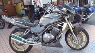 RPM Racing DUAL BALIUS カスタムマシーン Balius Kawasaki カワサキ・バリオス ZR250 [upl. by Odericus]