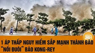 Vấn đề hôm nay1 áp thấp nguy hiểm sắp mạnh lên thành bão ‘nối đuôi’ bão Kongrey [upl. by Eleynad825]