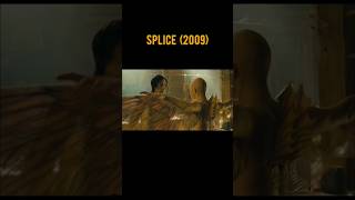 SPLICE 2009 ❤️Scene 56 movie movieclips shorts [upl. by Saihtam]