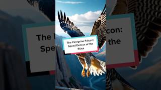 The Peregrine Falcon Speed Demon of the Skies [upl. by Cestar]