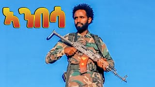 Frezgi Hailay  Anbesa  ኣንበሳ  ፍረዝጊ ሃይላይ  New Tigray Tigrigna Music 2022Official Video [upl. by Eedna]