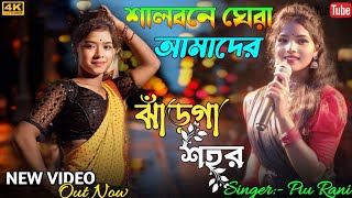 ঝাঁড়গা শহর  Piu Rani Mahata Jhumur  new trending song  Jhargram jhumar  super audio [upl. by Eidassac]