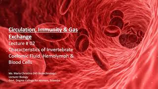 Lecture 02 Characteristics of Invertebrate Coelomic Fluid Hemolymph and Blood Cells [upl. by Nicolina]