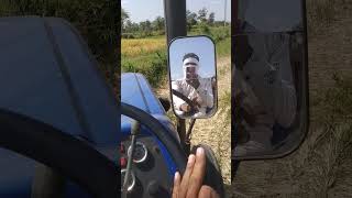 ytshortsharvestingindiafarmingtractoragriculturetrendingtrendingshortsyoutubeshortsnature [upl. by Anyotal]