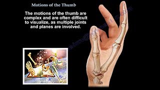 Motions Of The Thumb  Everything You Need To Know  Dr Nabil Ebraheim [upl. by Kraul292]