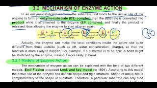 Mechanism of Enzyme Action 11th Biology enzymes substrate biology complex cell [upl. by Frasier]