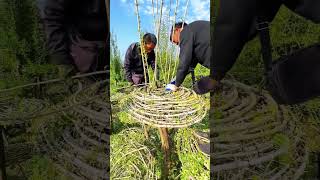 Weaving process of modeling tree [upl. by Rossen241]