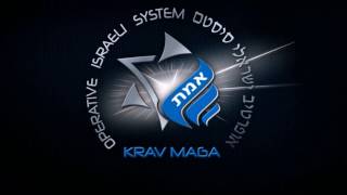 Krav Maga  Training Israel [upl. by Lynnelle95]