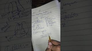 LEC  3  Ch1 NoseHuman Respiratory SystemP1 Class 10th12th Urdu Hindi [upl. by Cul]