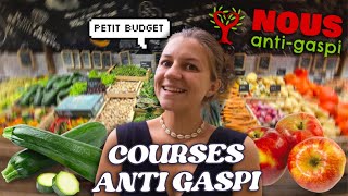 RETOUR DE COURSES BIO ET ANTI GASPI PETIT BUDGET gogreen [upl. by Jansen]