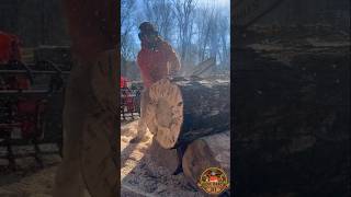 DESTROYING a SAWLOG for FIREWOOD [upl. by Haelam]