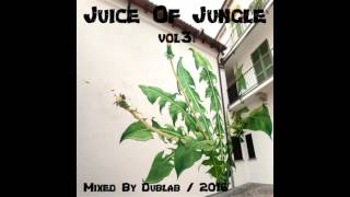 RaggaJungle Dnb Mix 2016  Juice Of Jungle Vol3 By Azotek [upl. by Hurwit]