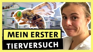 Biologie studieren So ist es wirklich – Zwischen Vorlesung und Mikroskop  alpha Uni [upl. by Lan]