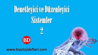 DENETLEYİCİ ve DÜZENLEYİCİ SİSTEMLER2  Nöronun Yapısı [upl. by Ame]