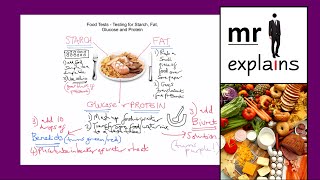 mr i explains Testing foods for Starch Fat Glucose and Protein for KS3 [upl. by Neyu]