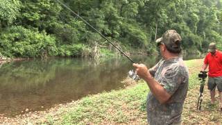 Middle TN Creek Fishing [upl. by Aidnama]