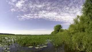 Deepwater Marsh TimeLapse [upl. by Kramer775]