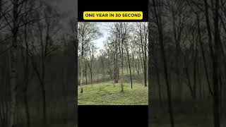 One year in 30 seconds 2024 [upl. by Karola]