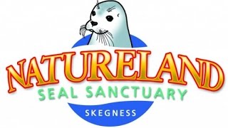 Natureland Seal Sanctuary Skegness [upl. by Ynattib329]