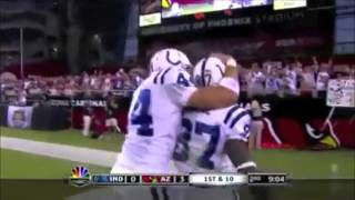 Highlights of The Great Reggie Wayne [upl. by Karilla]