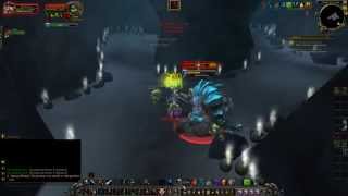 Broodmother Reegak  Warlords of Draenor Rare Elite Guide [upl. by Kaufmann]