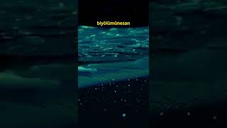 Bioluminescent Siphonophore Karanlıkta Parlayan Devasa Koloni 🌌🌊 vahşi hayat [upl. by Airt938]