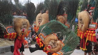 KEREN BANGET ‼️ ATRAKSI GULUNG 4 PEMBARONG KONDANG REOG PONOROGO MAINKAN DADAK MERAK JUMBO [upl. by Sheaff]