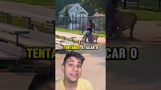 ‼️QUE PERIGO‼️ pets caes cachorro animaisdeestimação animaisengraçados remix react cao [upl. by Lugo22]