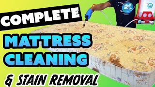 How To Steam Clean a Mattress Like a Professional [upl. by Ihcekn]