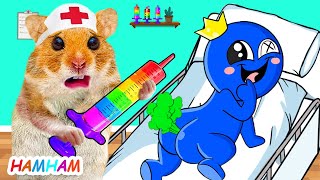 Crazy Doctor Hamster Check Up Rainbow Friends  Funny Videos Animals  Hamster Cartoon [upl. by Aidnahs888]