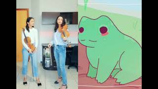 Shy Little Frog Tik Tok Meme  Improvised Violin Reaction [upl. by Zealand]