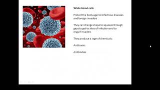 Unit 1 Chemistry Sample Paper [upl. by Wallache477]