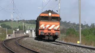 Comboios de carril com a única locomotiva diesel 1900 laranja ao serviço  Linha do Norte e LVNovas [upl. by Aja498]