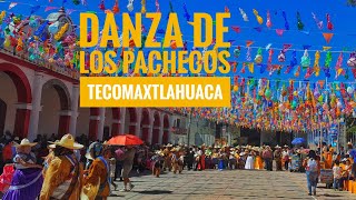 Danza De Los pachecos  rubios  Tecomaxtlahuaca 2024 [upl. by Nnylirej]