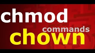 chmodchown commands in linuxpart 2 [upl. by Perpetua843]