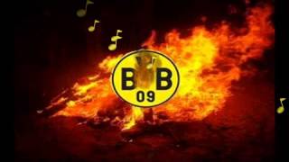 SCHEISS BVB  ANTI DORTMUND [upl. by Turrell448]