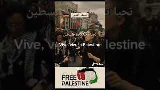 اغنية فيفا فلسطين vivevive palstine [upl. by Meekyh]