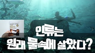 역사 제3의 눈으로 본 생물학적 인간털 없는 원숭이 [upl. by Sonnnie]