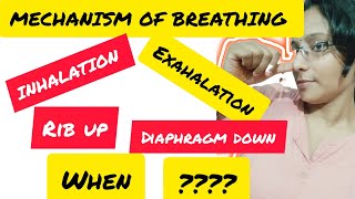 RESPIRATION MECHANISM OF BREATHING [upl. by Ogdan]