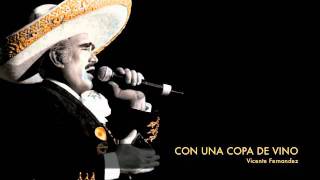 Vicente Fernandez  Con Una Copa De Vino [upl. by Itraa]