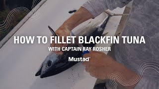 How To Fillet Blackfin Tuna the RIGHT Way with Captain Ray Rosher [upl. by Nodnorb166]