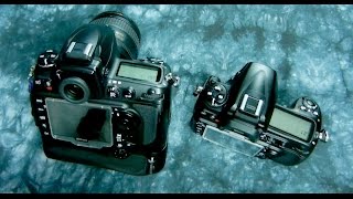 Angry Photographer D700 vs NIKON D300 Awesome D300 for 230 at Roberts Camera [upl. by Nomzaj]