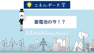 【蓄電池】現在のレベルは？ [upl. by Sharity754]