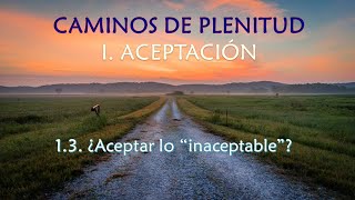 13 ¿Aceptar lo quotinaceptablequot [upl. by Zach]