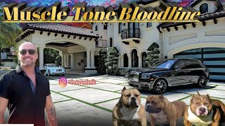 American Bully Bloodlines Muscletone Bullies Episode 3 [upl. by Mort722]