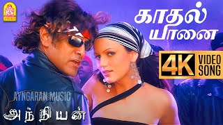 Kadhal Yaanai  4K Video Song  காதல் யானை  Anniyan  Vikram  Shankar  Harris Jayaraj  Ayngaran [upl. by Atekihc]