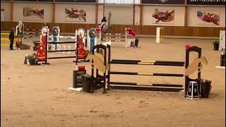 QuoVadis  Show Jumper  Quality Time  2016  Gelding [upl. by Aser368]