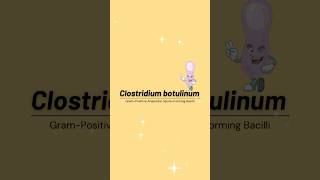 Clostridium botulinum  Botulism Bacteriology Laboratory MedicalTechnologist Microbioworld [upl. by Hairim]